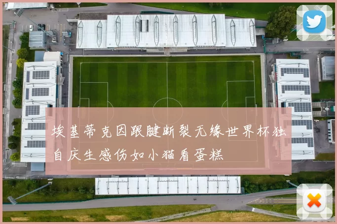 埃基蒂克因跟腱断裂无缘世界杯独自庆生感伤如小猫看蛋糕